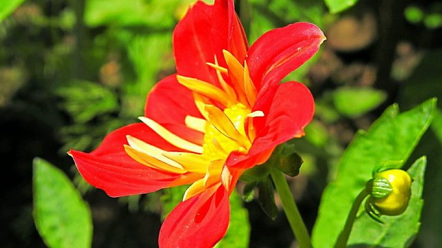 Csodálatos természet 18